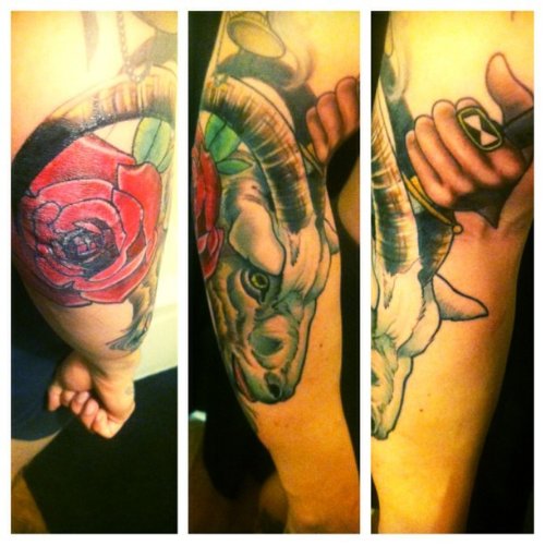 Red Rose And Goat Head Tattoo