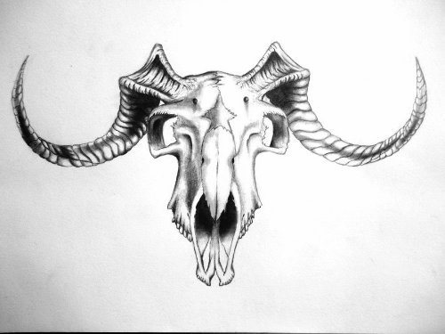 Stylish Goat Skull Tattoo Design