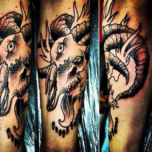 Mind Blowing Grey Ink Goat Skull Tattoo