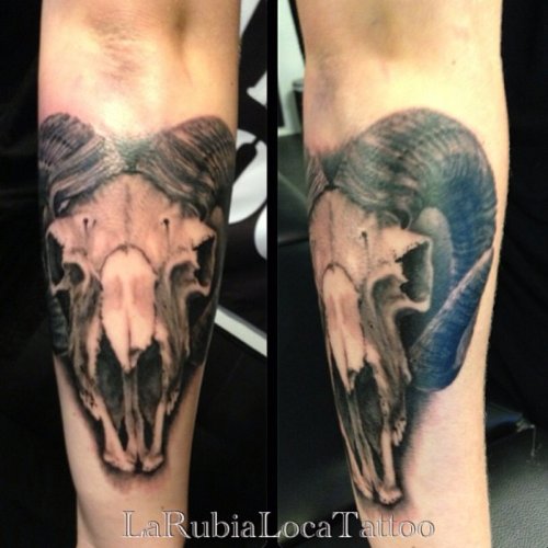 Goat Skull Grey Ink Tattoo On Arm