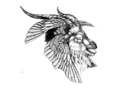 Hawk And Goat Head Tattoo Design