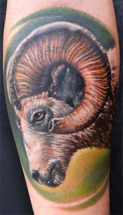 Awesome Color Ink Goat Head Tattoo On Half Sleeve