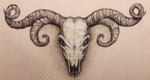 Goat Skull Tattoo Design For Men