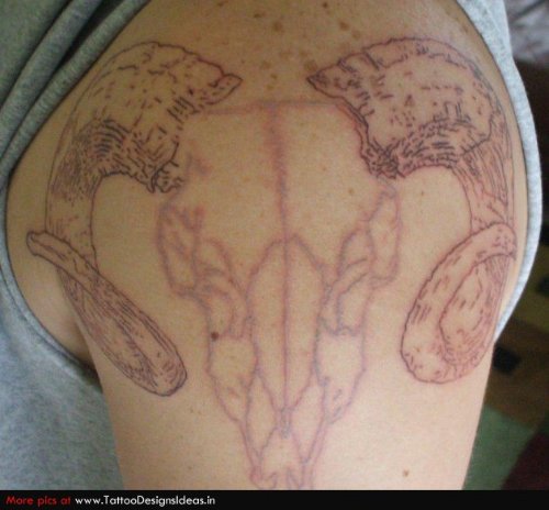 Goat Skull Outline Tattoo On Left Shoulder