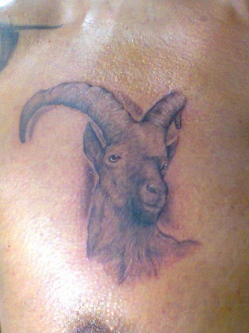 Grey Ink Goat Head Chest Tattoo