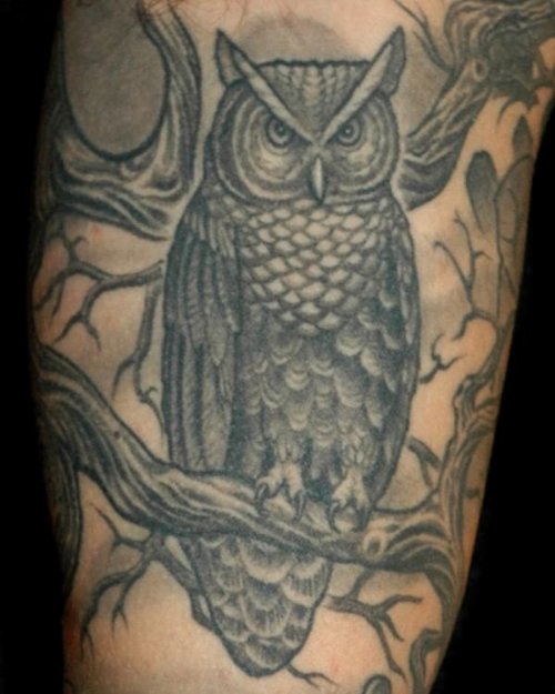 Grey Ink Graveyard Owl Tattoo