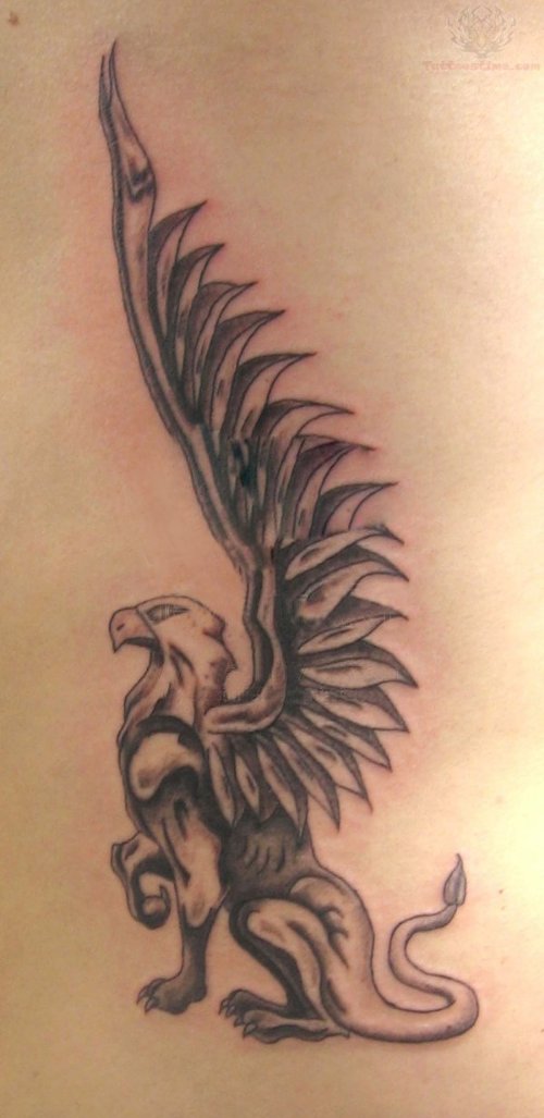 New Griffin Tattoo
