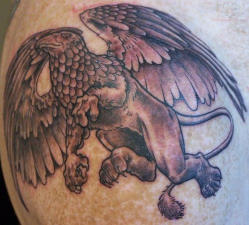 Griffin Tattoo On Shoulder