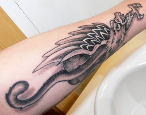 Flying Griffin Tattoo On Arm
