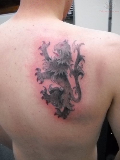 Griffin Tattoo On Back Shoulder