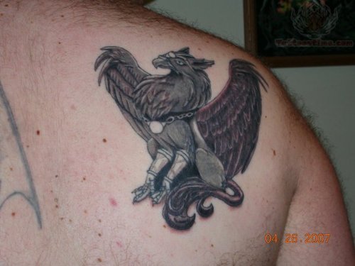 Grey Ink Griffin Tattoo On Back Shoulder