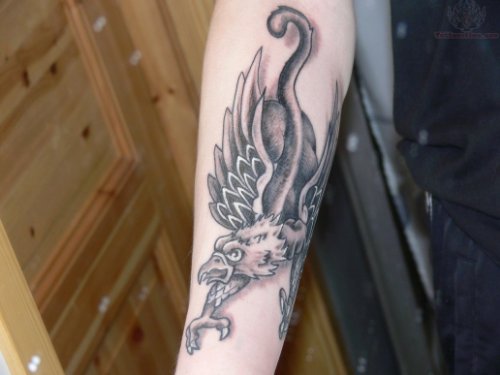 Grey Ink Griffin Tattoo For Arm