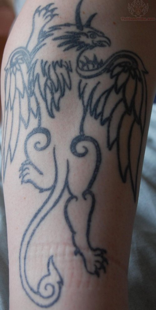Griffin Tattoo By Admin