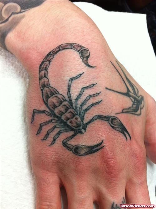 Grey Ink Scorpio Tattoo On Right Hand