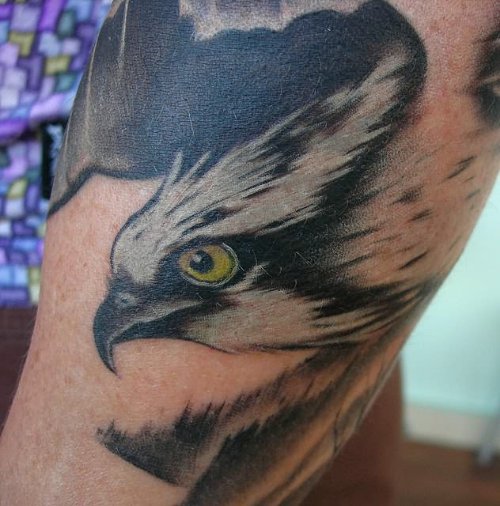 Yellow Eye Hawk Black Ink Tattoo