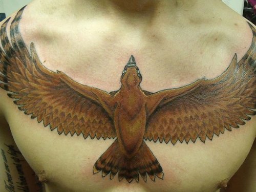 Open Wings Hawk Tattoo On Man Chest