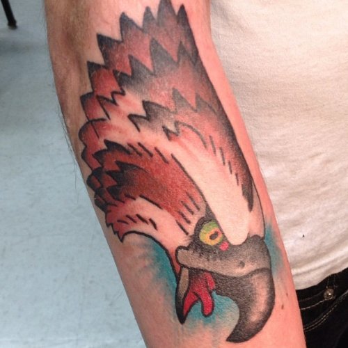 Color Ink Hawk Head Tattoo On Right Arm