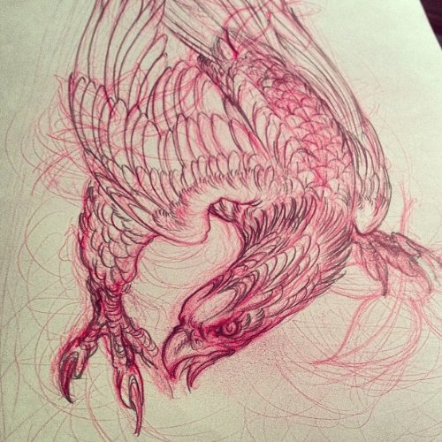 Amazing Red Ink Hawk Tattoo Design