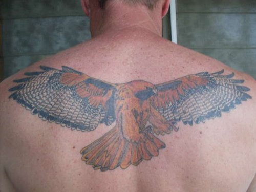 Upperback Hawk Tattoo For Men