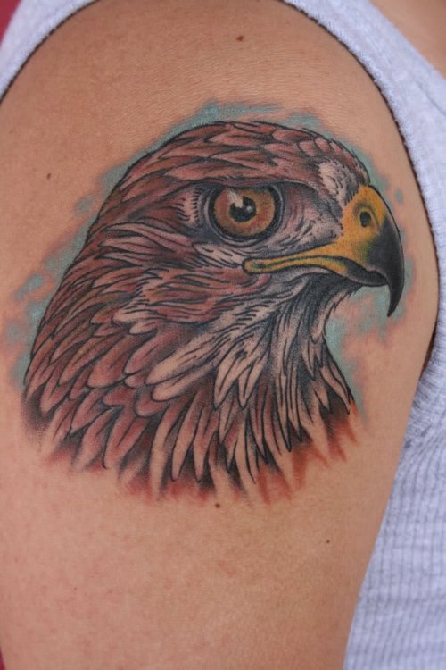 Hawk Head Right Shoulder Tattoo For Men