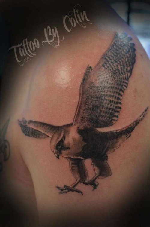 Left Shoulder Grey Ink Flying Hawk Tattoo