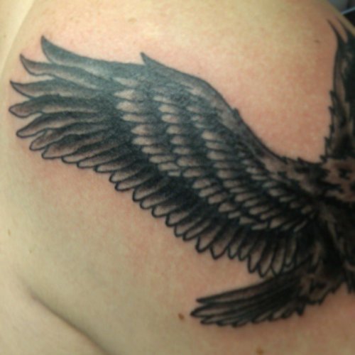 Grey Ink Shoulder Black Ink Flying Hawk Tattoo