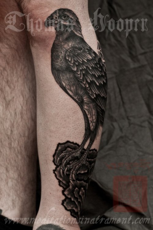Hawk And Black Rose Tattoo on Left Leg