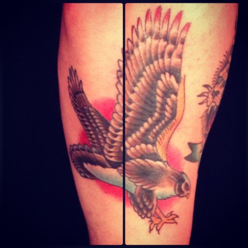 Colored Flying Hawk Tattoo On Sleeve