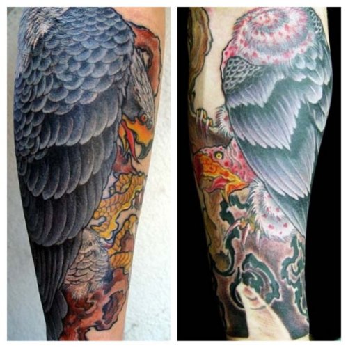 Colored Hawk Tattoo On Arm
