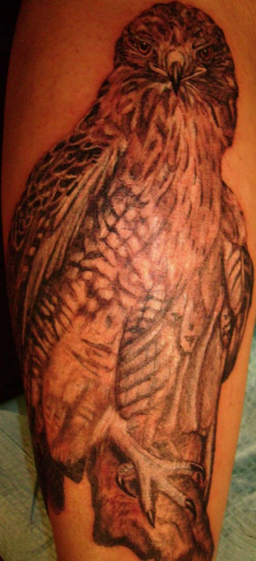 Aamazing Grey Ink Hawk Tattoo