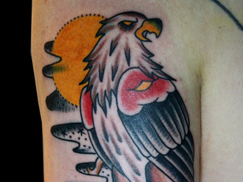 Color Ink Hawk With Sun Tattoo On Bicep