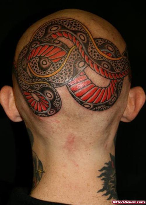 Attractive Colored Snake Head Tattoo For Men