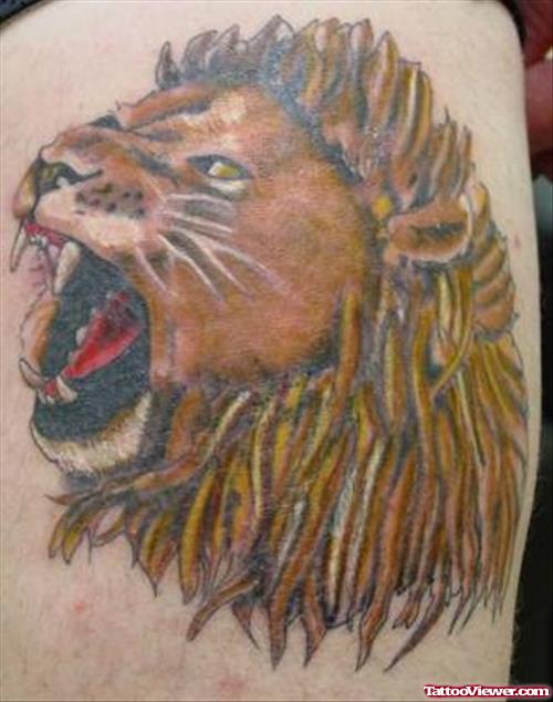 Lion Head Tattoo On Side