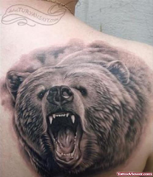 Angry Bear Head Tattoo On Back Shoulder