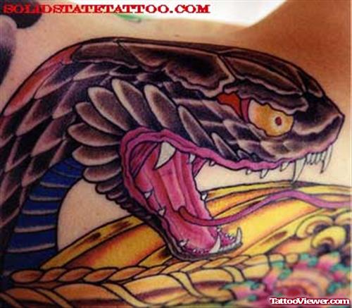 Awesome Color Head Snake Tattoo
