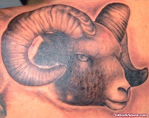 Grey Ink Capricorn Head Tattoo