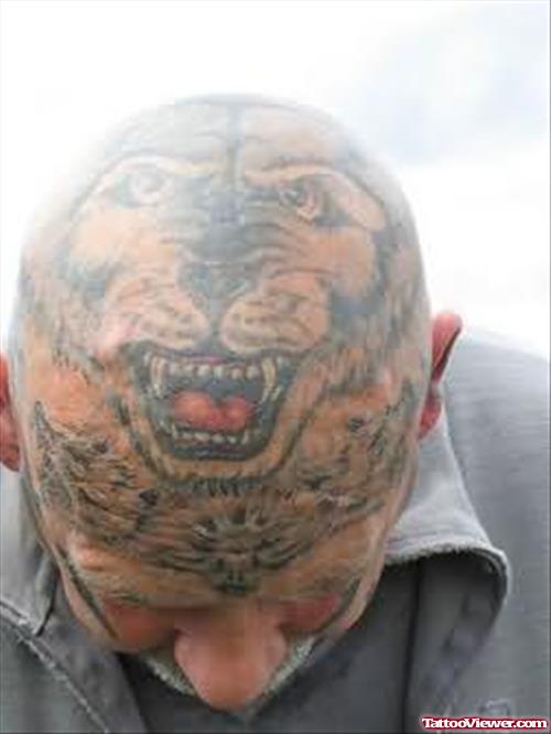 Tiger Tattoo On Head