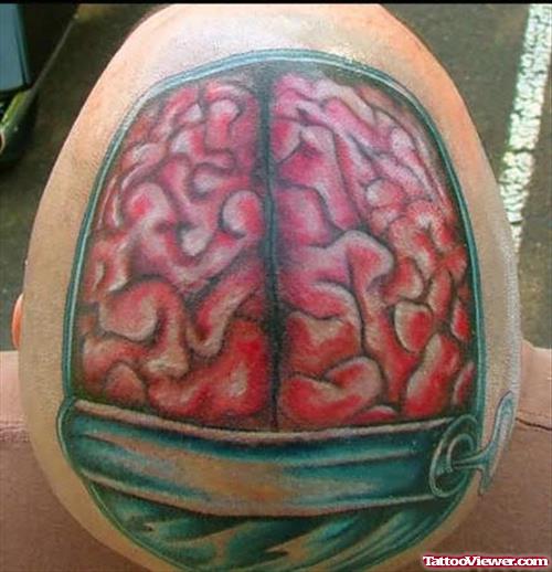 Brain Parts Tattoos On Head