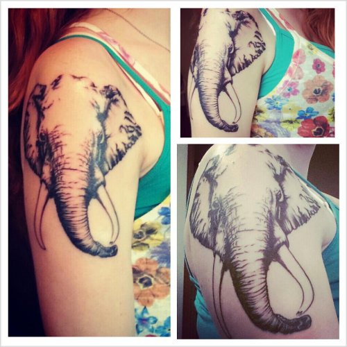 Elephant Head Tattoo On Girl Right Shoulder