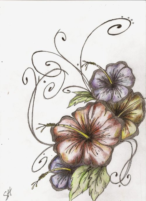 Nice Colored Hibiscus Flowers Tattoo Drawing