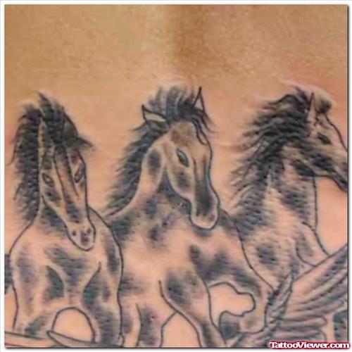 Horses Tattoos Designs