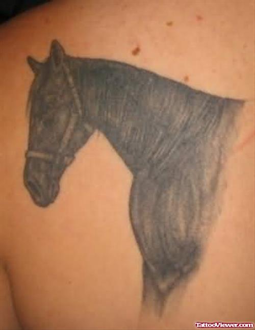 Half Horse Tattoo On Body