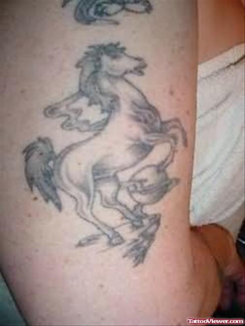Elegant Horse Tattoo On Muscles