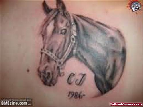 Amazing Horse Head Tattoo
