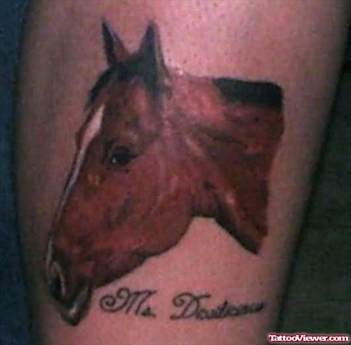 Red Ink Horse Tattoo