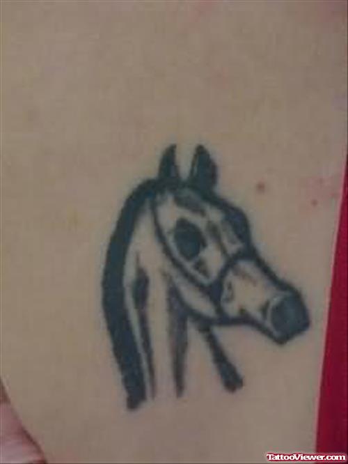 Horse Head Tattoo