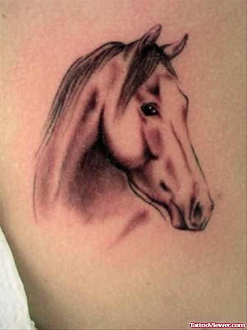 Red Shade Horse Head Tattoo