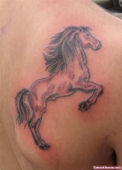 Red Horse Tattoo On Upper Back