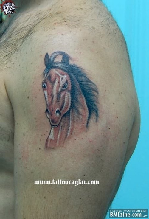 Horse Head Tattoo On Shoulder