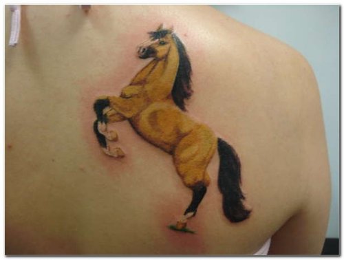 Color Ink Horse Tattoo On Right Back Shoulder